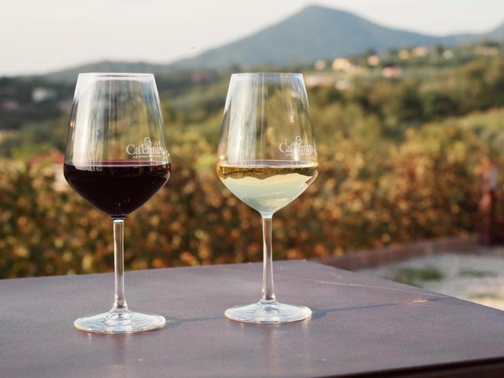 Azienda Agricola Ca' Lunga Cinto Euganeo Bagian luar foto